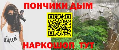 сатива Можга