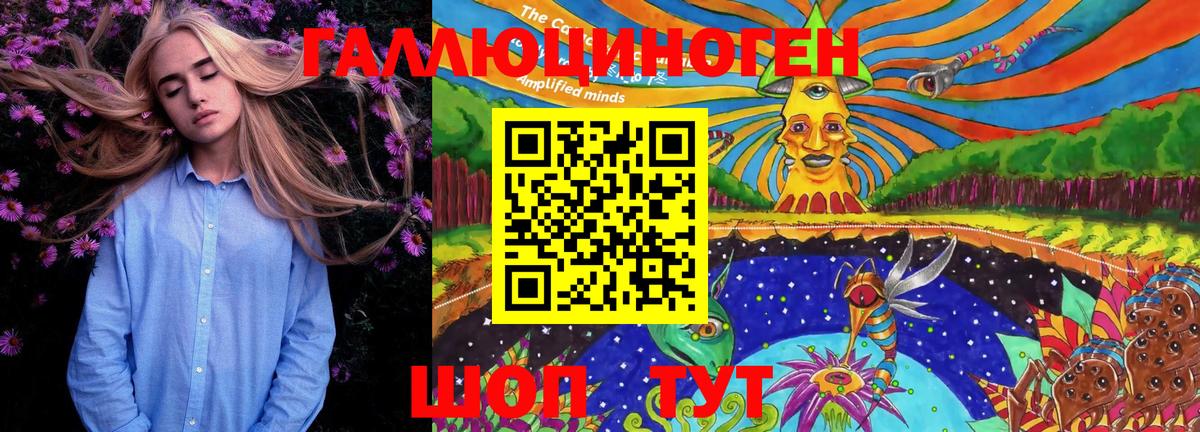 Галлюциногенные грибы Psilocybe  Вход с VPN  Галлюциногенные грибы Psilocybine cubensis  Якутск 